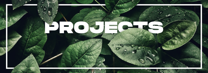 ProjectsBanner