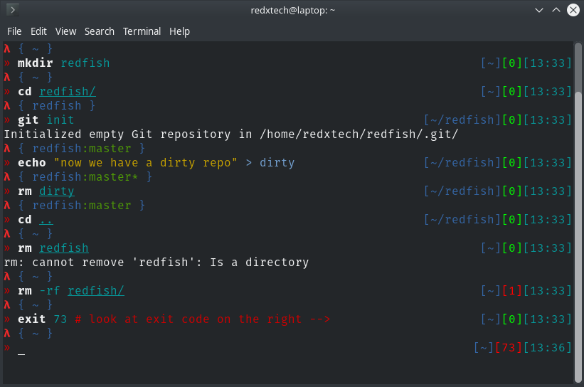 Image in which I meant to exclude -rf to show the exit code of a failed command