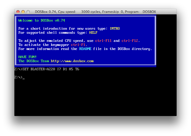 DOSBox startup