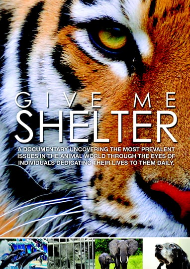 give-me-shelter-1339765-1