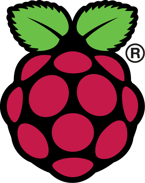 Rapsberry logo