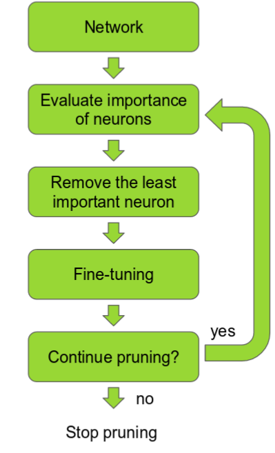 Pruning steps