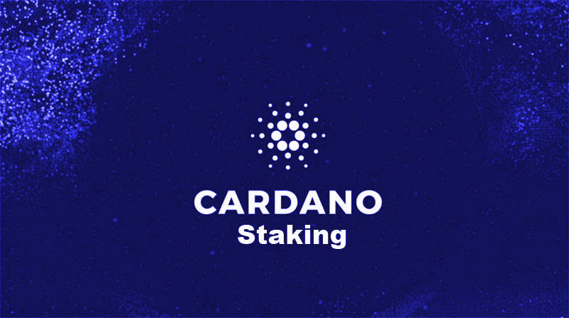 How to stake Cardano (ADA) Ledger Live