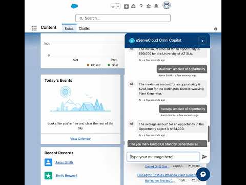 Salesforce Co-Pilot