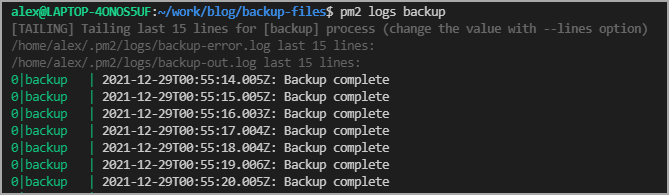 PM2 Logs