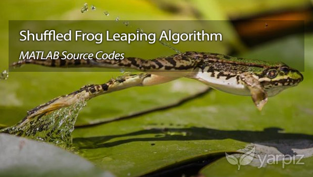 Shuffled Frog Leaping Algorithm (SFLA) in MATLAB