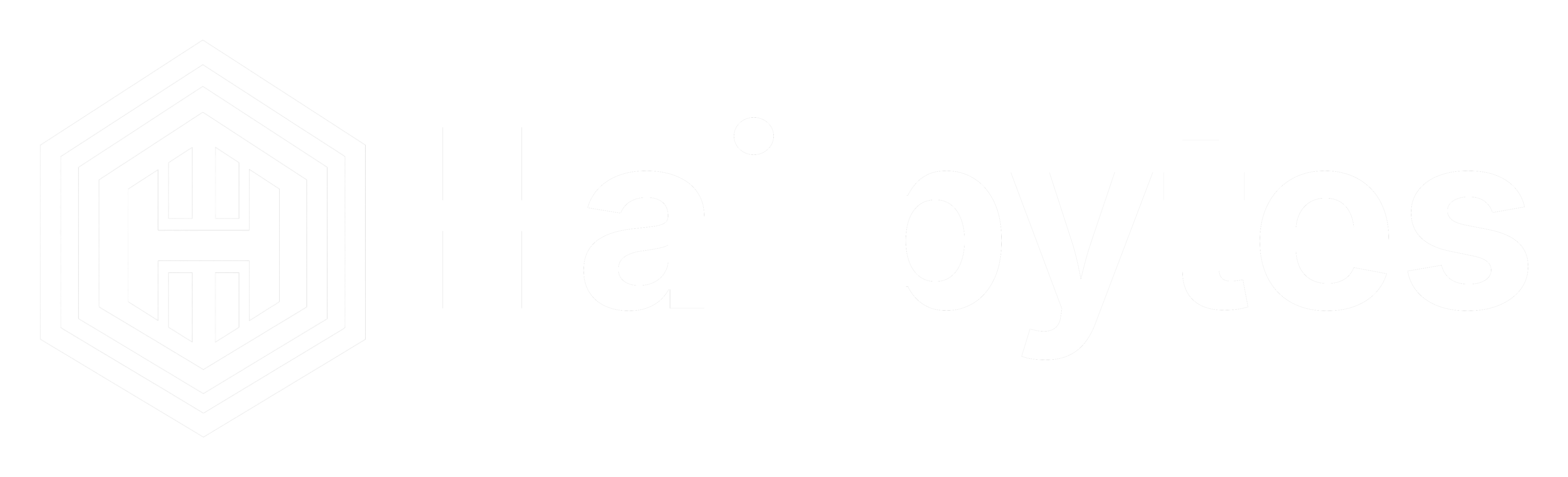 HailBytes - Managed Attack Surface Management