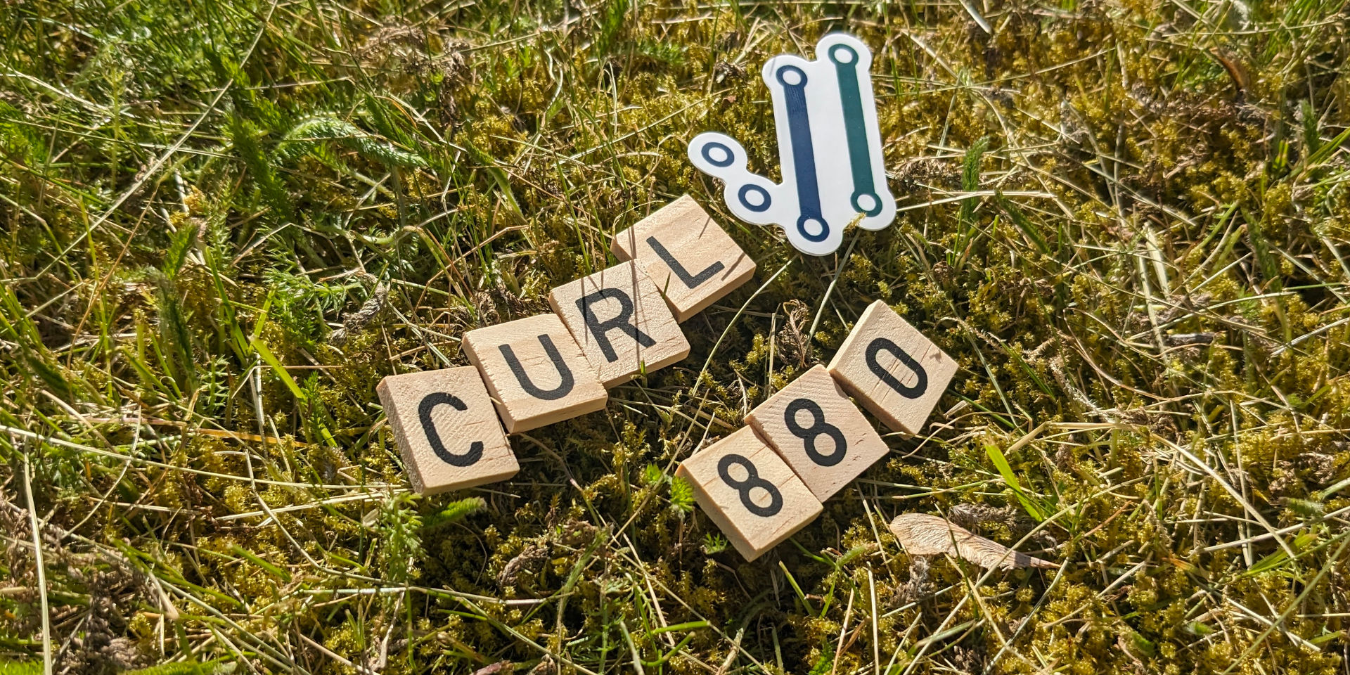 curl-8 8 0