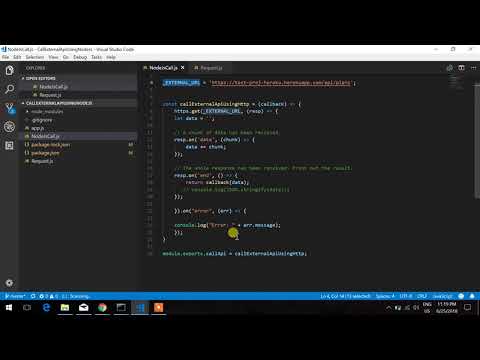 Call External API using Node JS