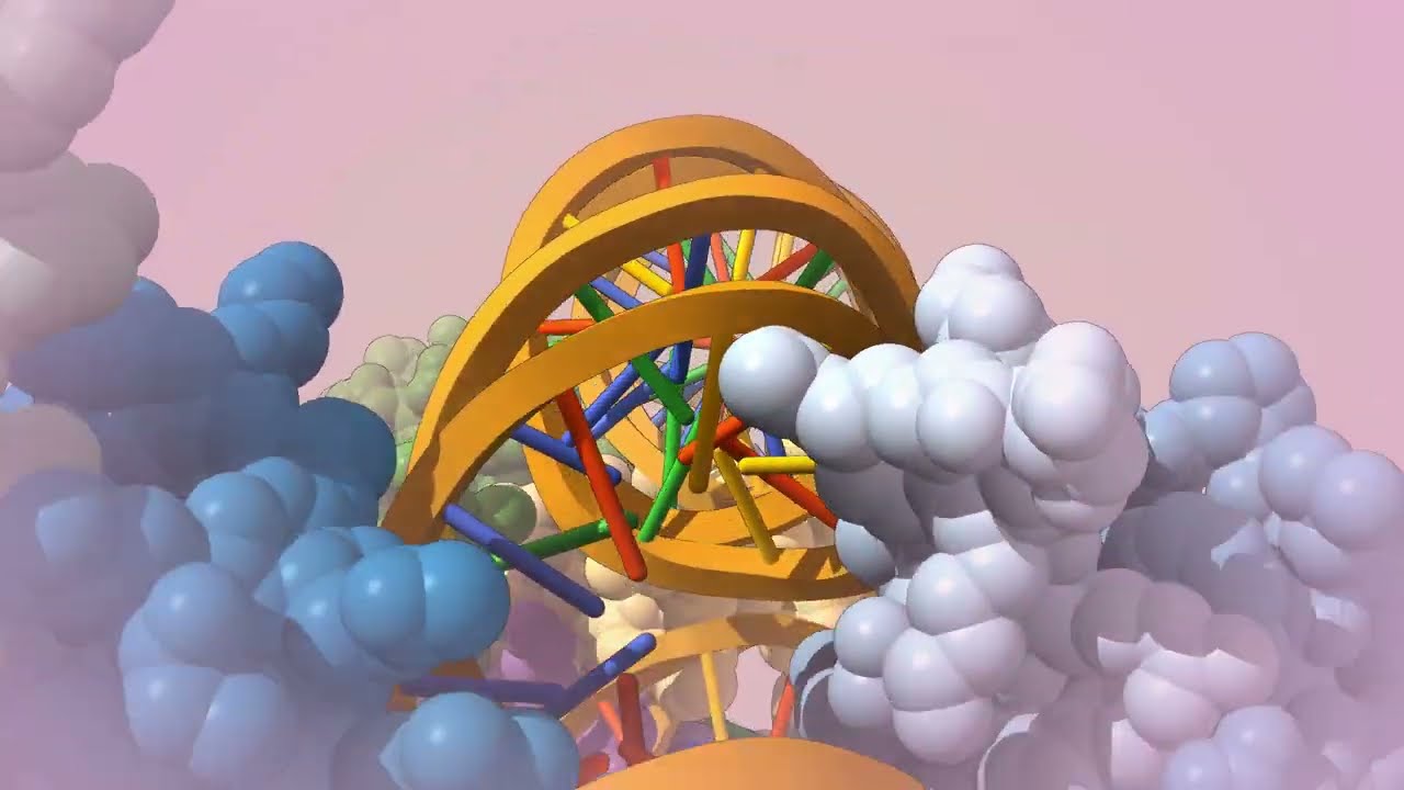 GitHub - TheVisualHub/RoyalMD: 👑 A lightweight molecular dynamics ...
