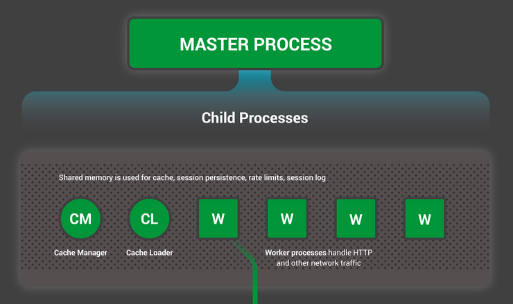 process model