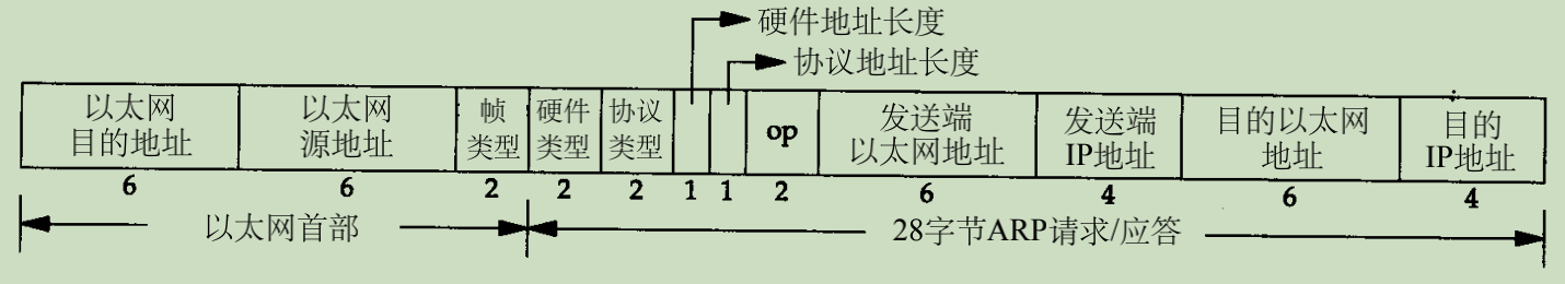 ARP 格式