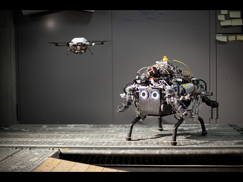 "Collaborative Navigation for Flying and Walking Robots" by Peter Fankhauser