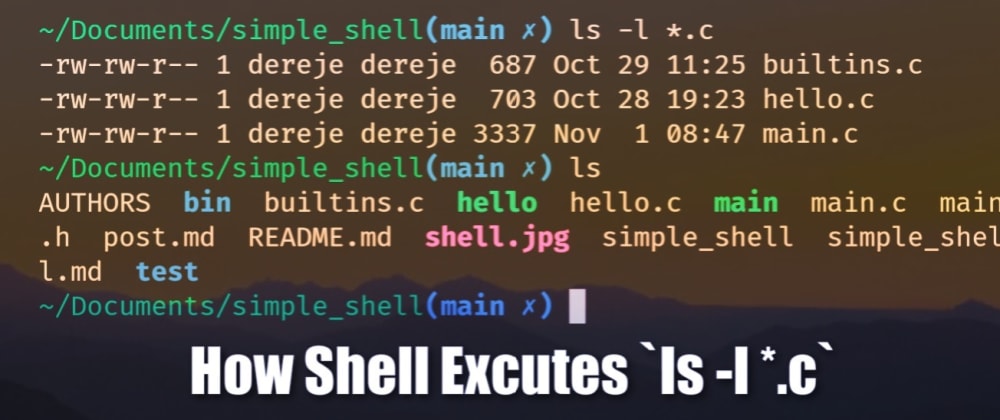 shell_image