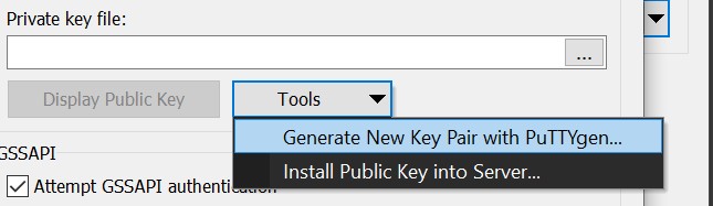 Generate New Key Pair with PuTTYgen...