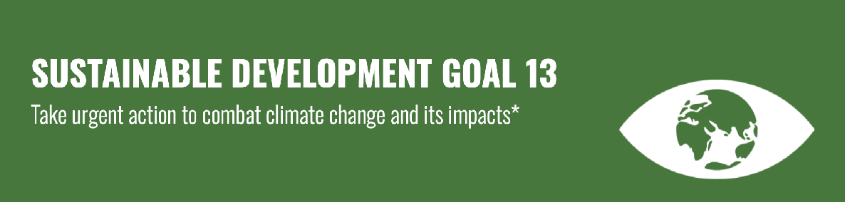 SDG 13 Banner