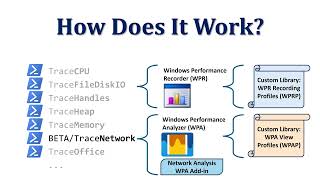 MSO-Scripts: Introduction