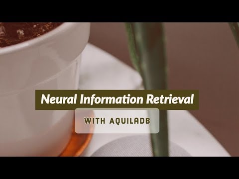 introduction to Neural Information retrieval with AquilaDB