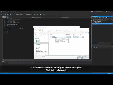 Unicorn Hybrid Black Tutorial: Dev Tools - .NET API