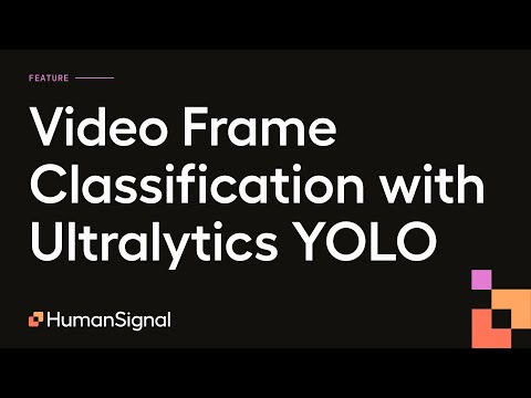 Video Temporal Classification video