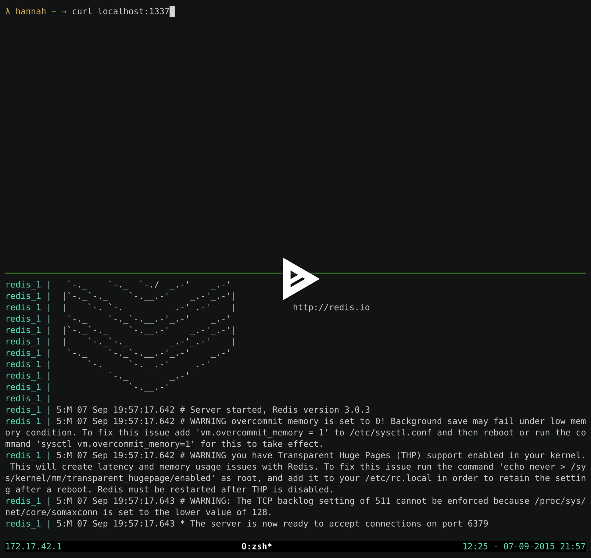 asciicast