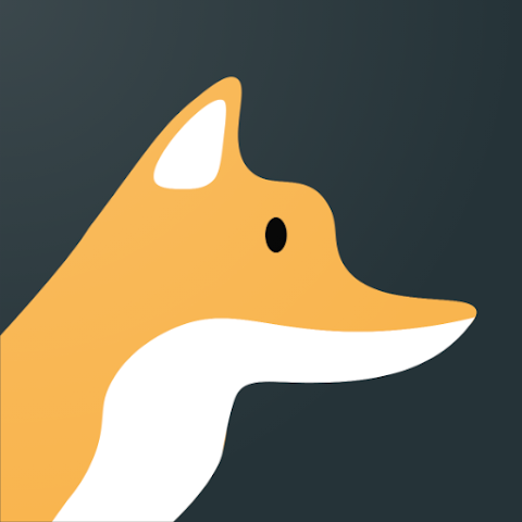 Fox RSS