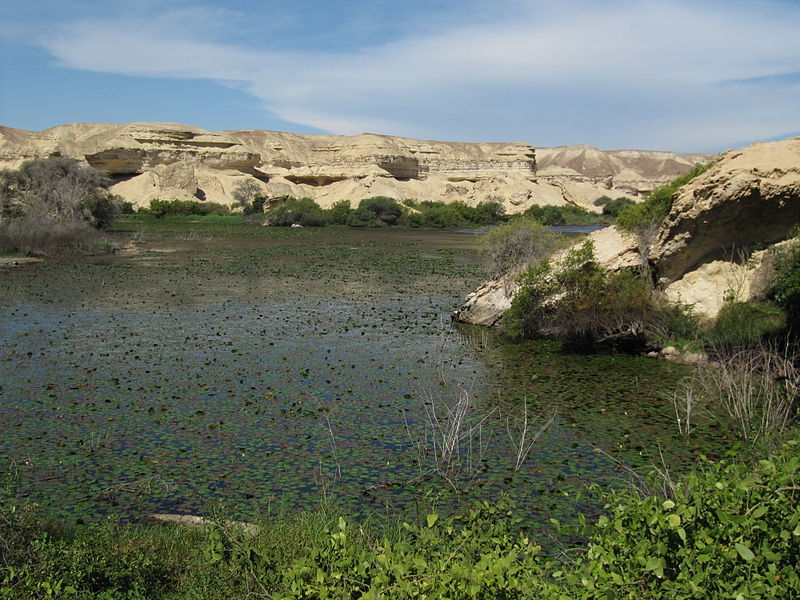 Oasis do Arco