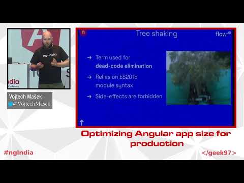 Optimize Angular application for size