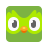 Duolingo logo