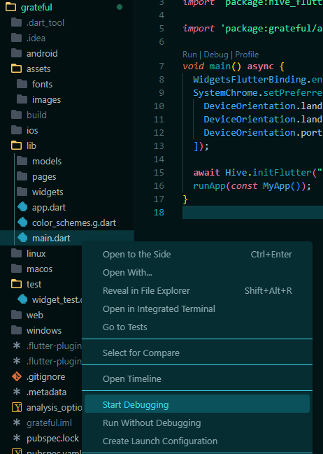 main.dart file's right click options.