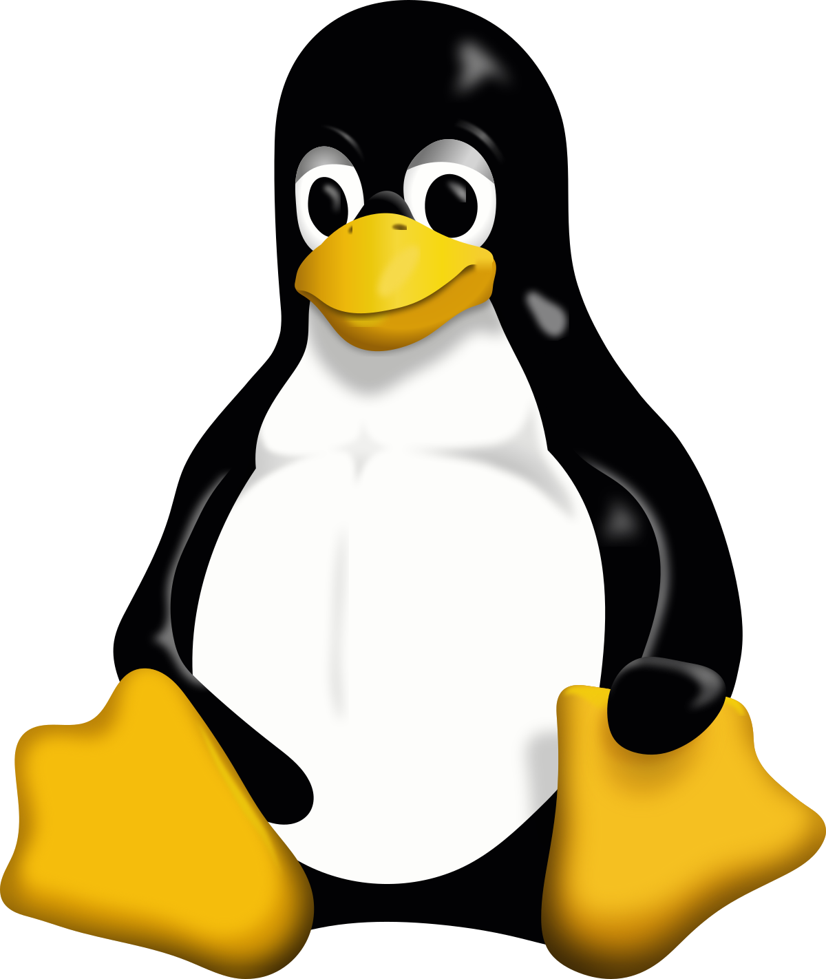 Linux and Unix scripting