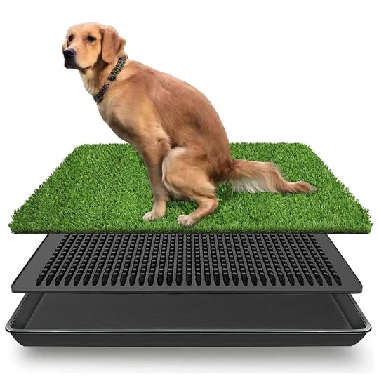 lomantown-fake-grass-dog-potty-pad-portable-dog-turf-trainer-grass-with-tray-30-inchx20-inch-size-30-1