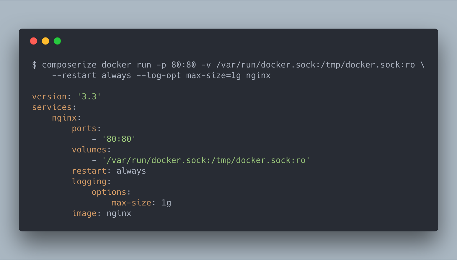 Docker run add