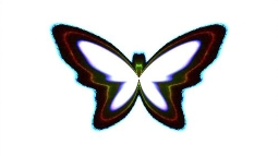 TEST: Flourescent butterfly