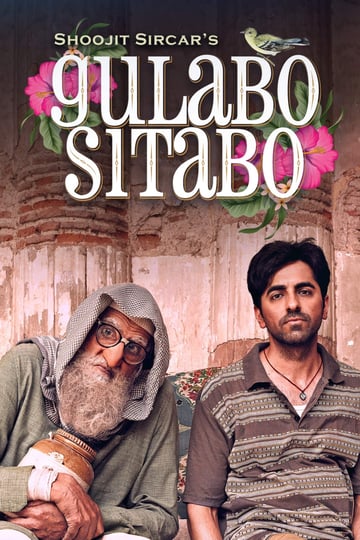 gulabo-sitabo-4548776-1