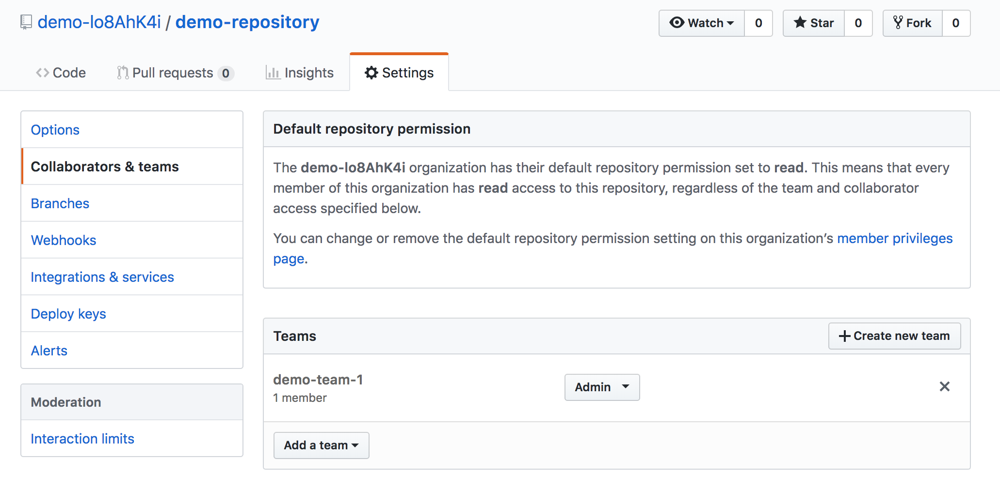 Repository Permissions