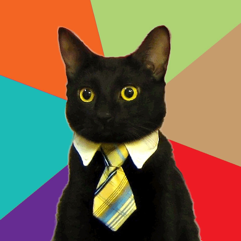 Business Cat Doin His Thang