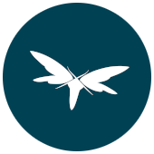 Wildfly