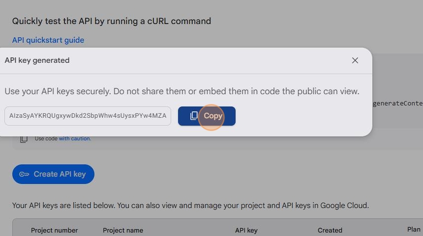 Generate Gemini API Key