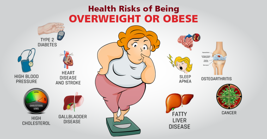 Obesity Risk Overview