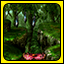A heavily forested area