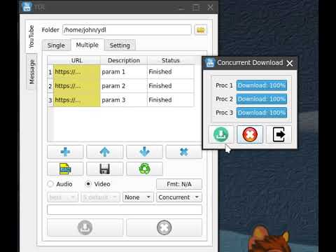 YouTube Downloader: Concurrent Download