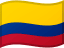 co flag