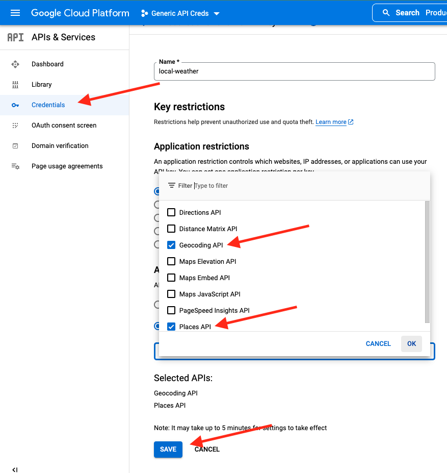 screenshot of google api settings