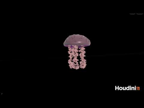 Jellyfish Demo