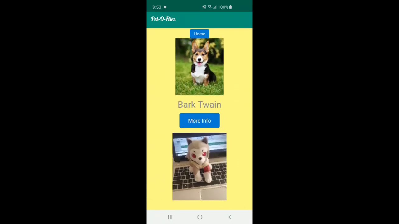 Demo Video for Pet-O-Files