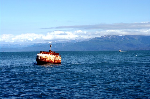 Harbor Buoy