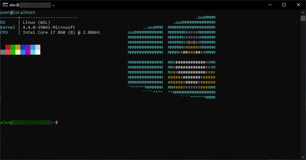 Jeofetch running under WSL