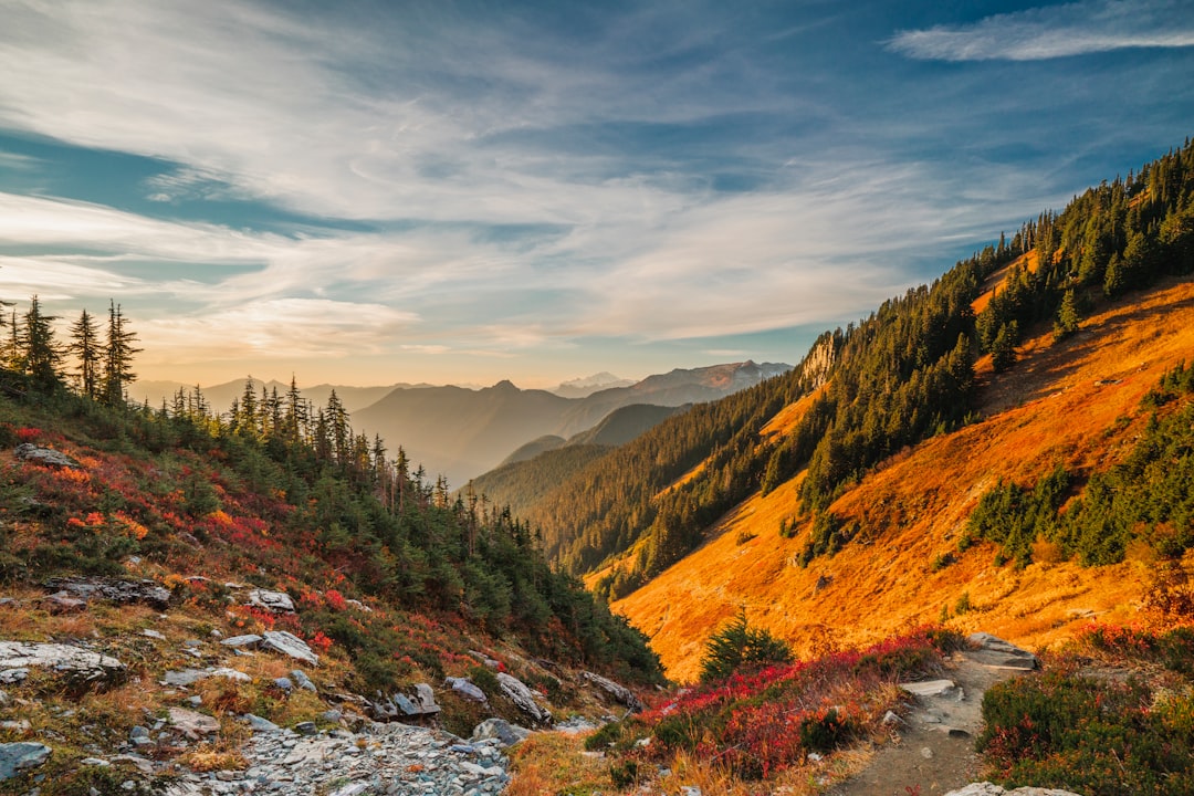 green and brown mountains under white clouds and blue sky during daytime