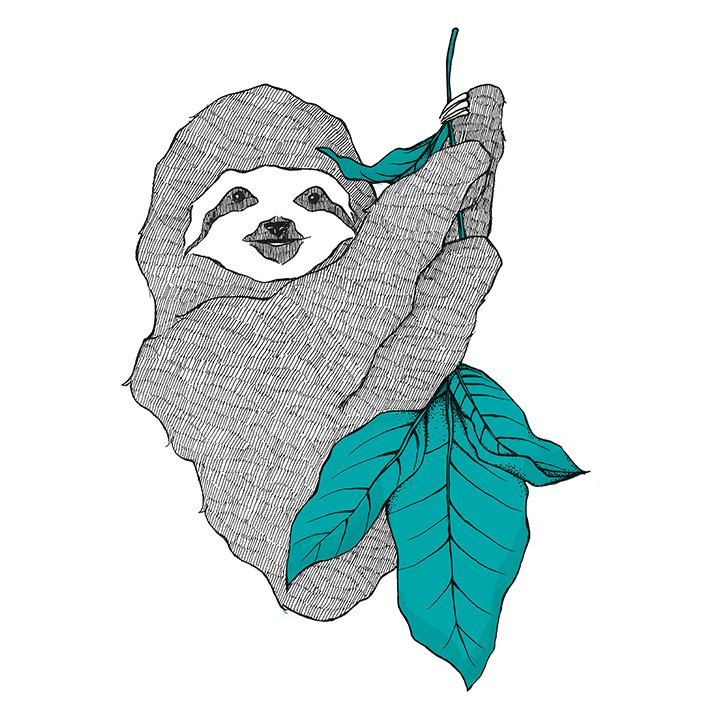 Sloan, the sloth mascot